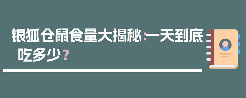 银狐仓鼠食量大揭秘：一天到底吃多少？