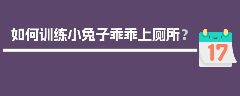 如何训练小兔子乖乖上厕所？