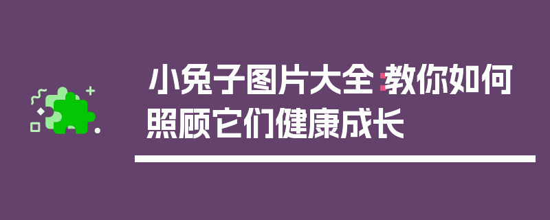 小兔子图片大全：教你如何照顾它们健康成长