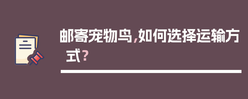 邮寄宠物鸟，如何选择运输方式？