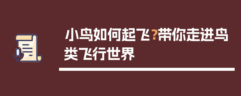 小鸟如何起飞？带你走进鸟类飞行世界