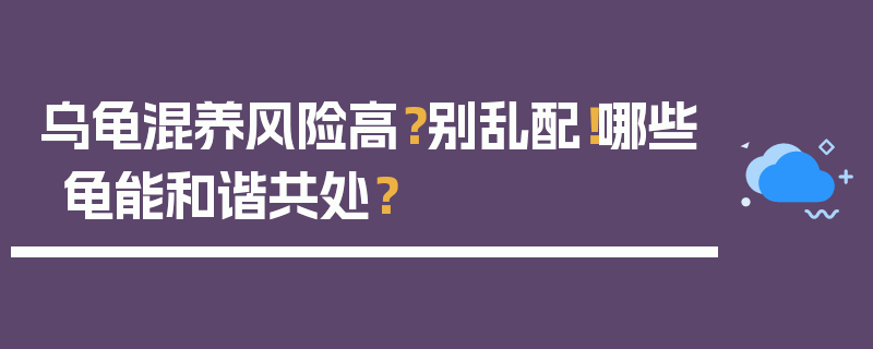 乌龟混养风险高？别乱配！哪些龟能和谐共处？