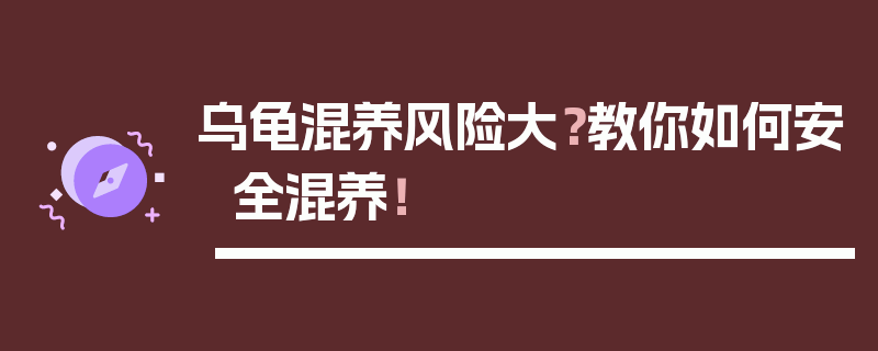 乌龟混养风险大？教你如何安全混养！