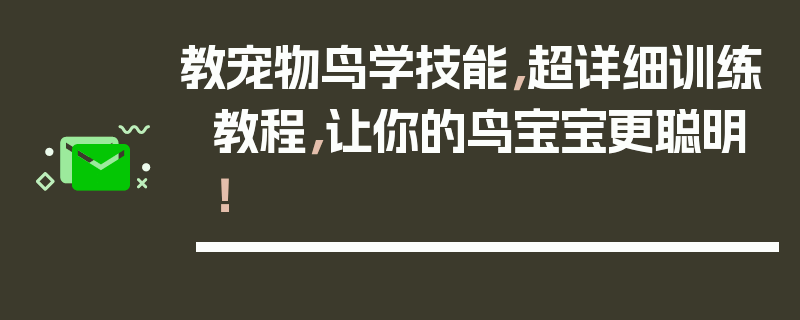 教宠物鸟学技能，超详细训练教程，让你的鸟宝宝更聪明！