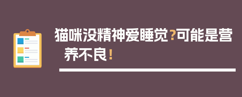 猫咪没精神爱睡觉？可能是营养不良！