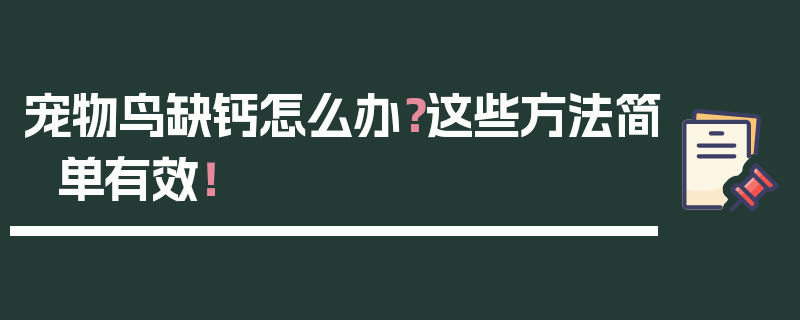 宠物鸟缺钙怎么办？这些方法简单有效！