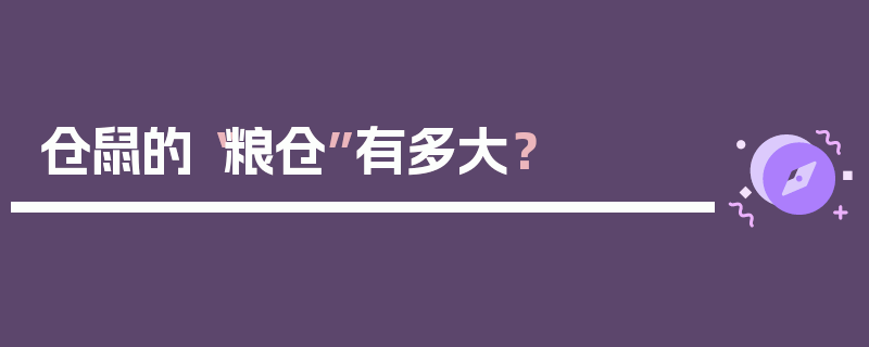 仓鼠的“粮仓”有多大？