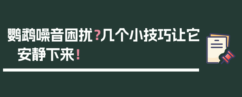 鹦鹉噪音困扰？几个小技巧让它安静下来！