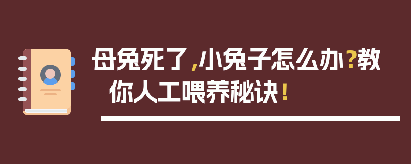 母兔死了，小兔子怎么办？教你人工喂养秘诀！