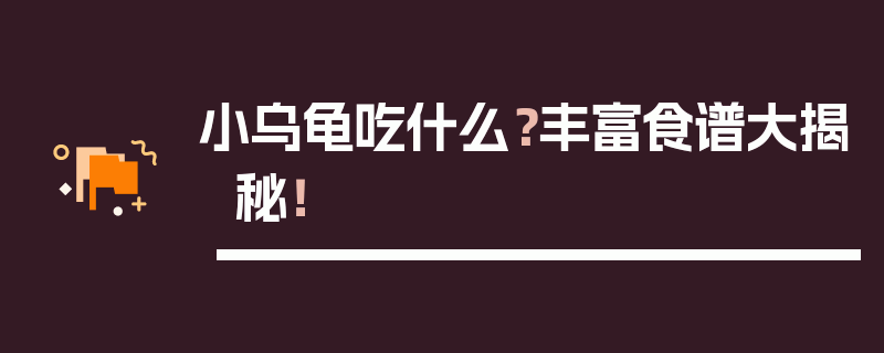 小乌龟吃什么？丰富食谱大揭秘！