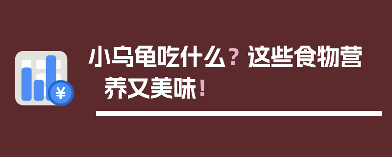 小乌龟吃什么？ 这些食物营养又美味！