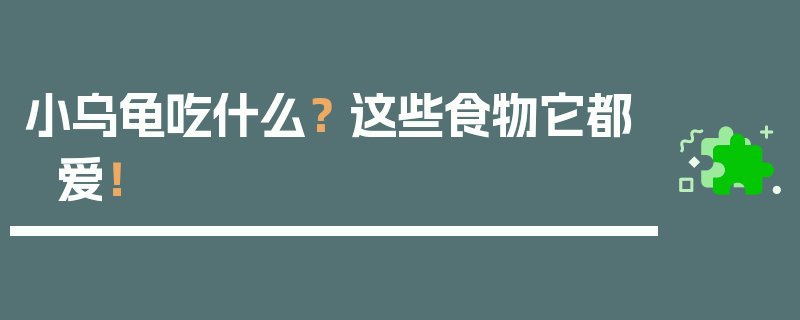 小乌龟吃什么？ 这些食物它都爱！