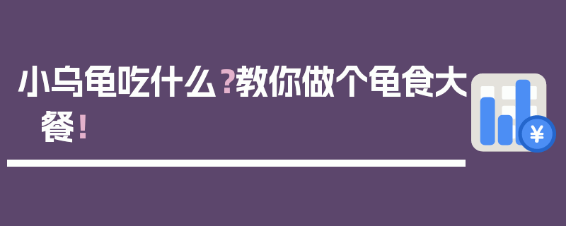 小乌龟吃什么？教你做个龟食大餐！