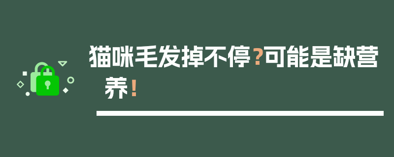 猫咪毛发掉不停？可能是缺营养！