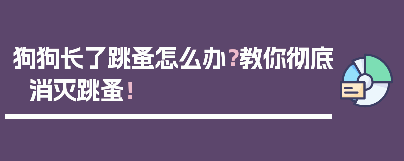 狗狗长了跳蚤怎么办？教你彻底消灭跳蚤！