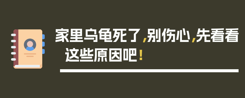 家里乌龟死了，别伤心，先看看这些原因吧！