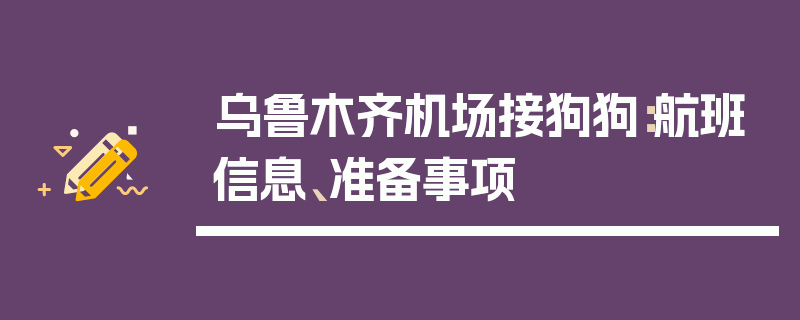 乌鲁木齐机场接狗狗：航班信息、准备事项