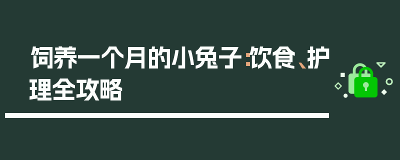 饲养一个月的小兔子：饮食、护理全攻略