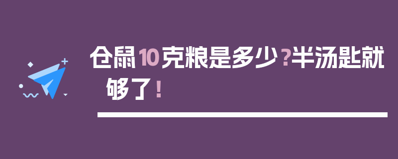 仓鼠10克粮是多少？半汤匙就够了！