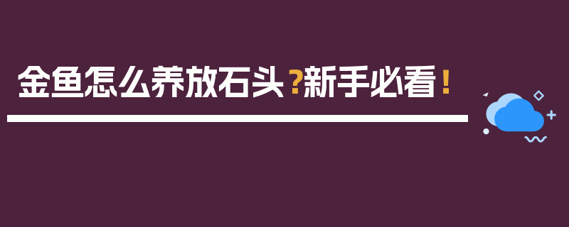 金鱼怎么养放石头？新手必看！