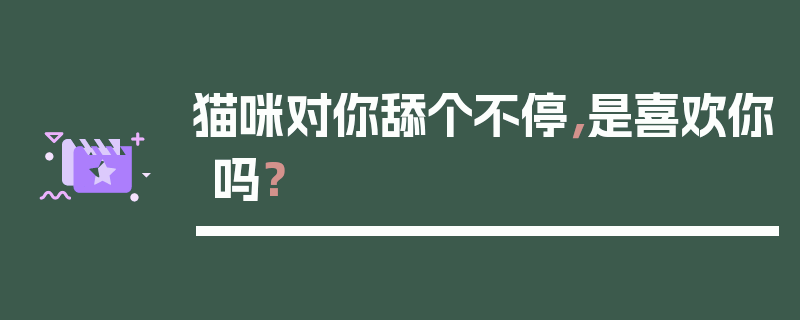 猫咪对你舔个不停，是喜欢你吗？