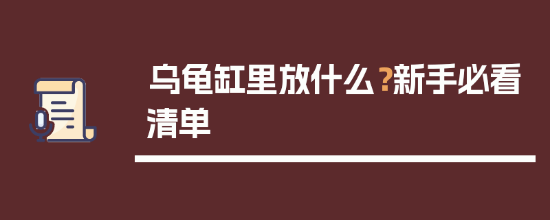 乌龟缸里放什么？新手必看清单