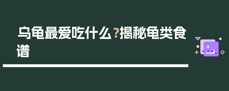 乌龟最爱吃什么？揭秘龟类食谱