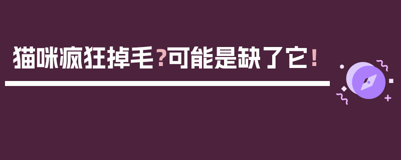 猫咪疯狂掉毛？可能是缺了它！