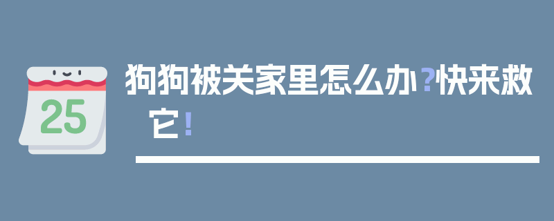 狗狗被关家里怎么办？快来救它！