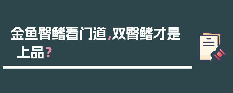 金鱼臀鳍看门道，双臀鳍才是上品？