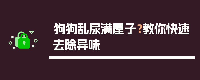 狗狗乱尿满屋子？教你快速去除异味