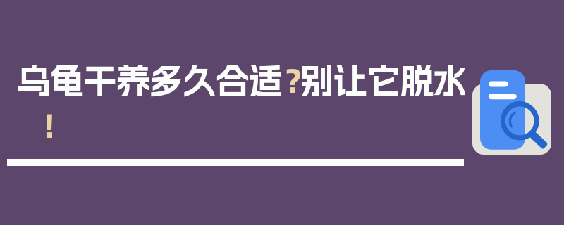 乌龟干养多久合适？别让它脱水！