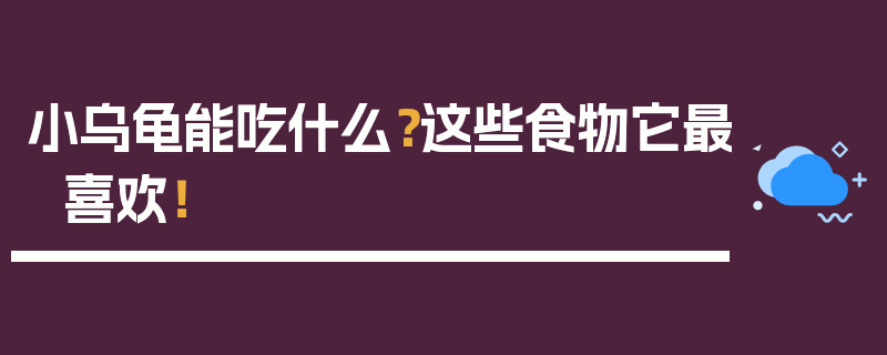 小乌龟能吃什么？这些食物它最喜欢！