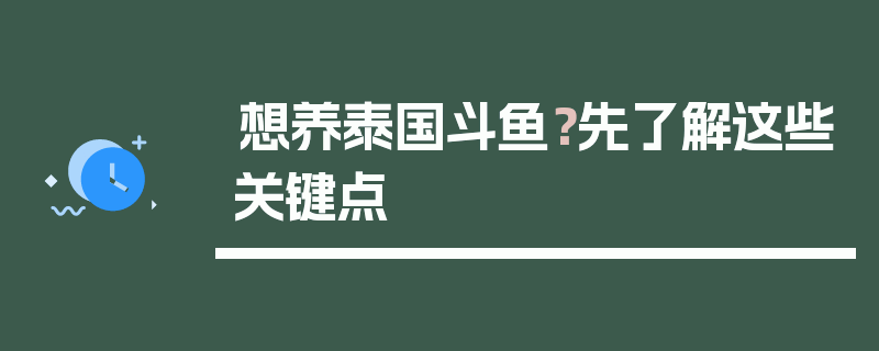 想养泰国斗鱼？先了解这些关键点