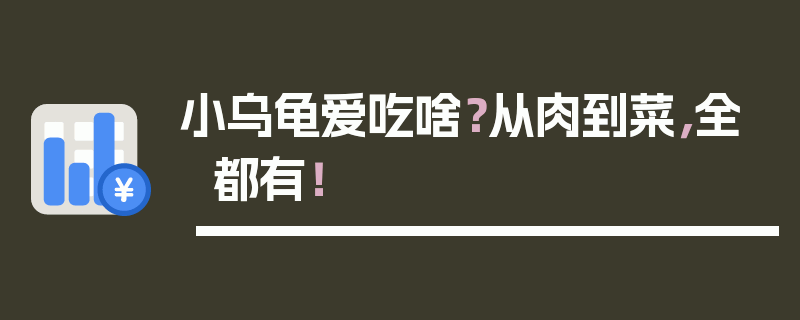 小乌龟爱吃啥？从肉到菜，全都有！