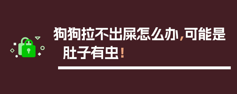 狗狗拉不出屎怎么办，可能是肚子有虫！