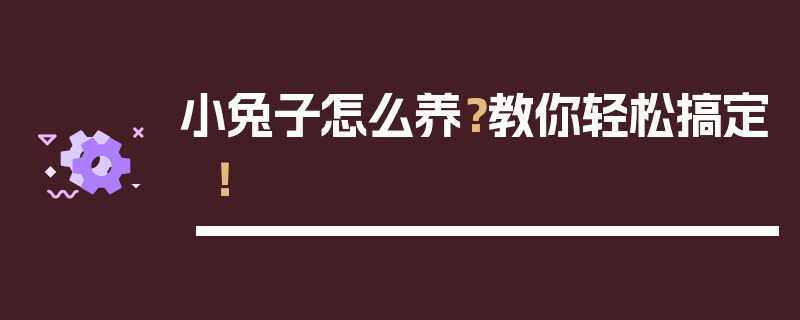 小兔子怎么养？教你轻松搞定！