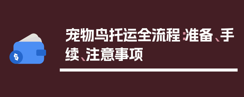 宠物鸟托运全流程：准备、手续、注意事项