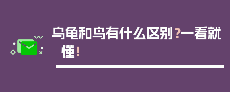 乌龟和鸟有什么区别？一看就懂！