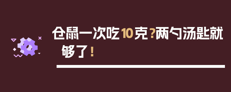 仓鼠一次吃10克？两勺汤匙就够了！