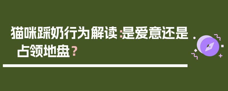 猫咪踩奶行为解读：是爱意还是占领地盘？