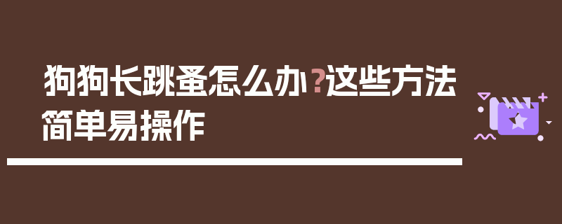 狗狗长跳蚤怎么办？这些方法简单易操作