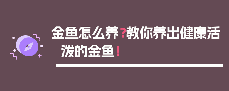 金鱼怎么养？教你养出健康活泼的金鱼！