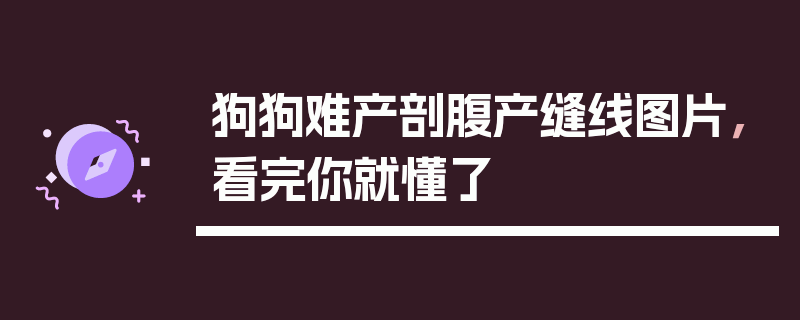 狗狗难产剖腹产缝线图片，看完你就懂了