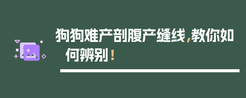 狗狗难产剖腹产缝线，教你如何辨别！