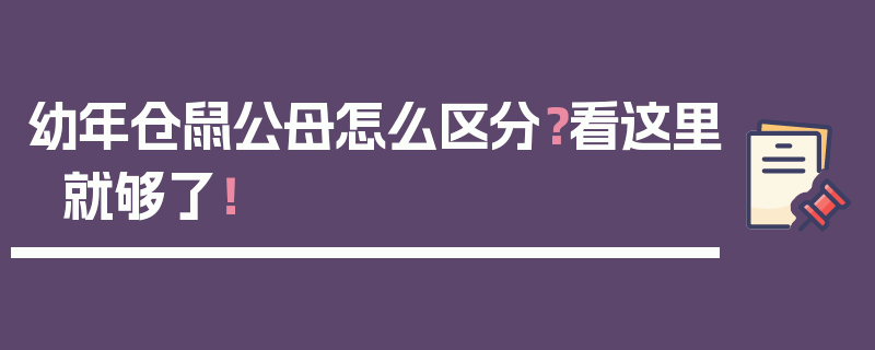 幼年仓鼠公母怎么区分？看这里就够了！